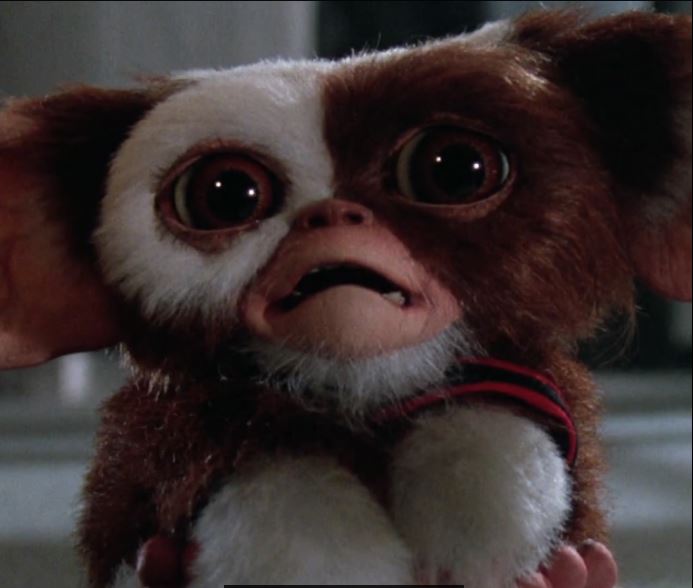 C'EST LA FIN | THIS IS THE END | 2013