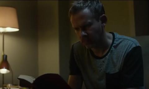 PET | ANIMAL DE COMPANIA | 2016