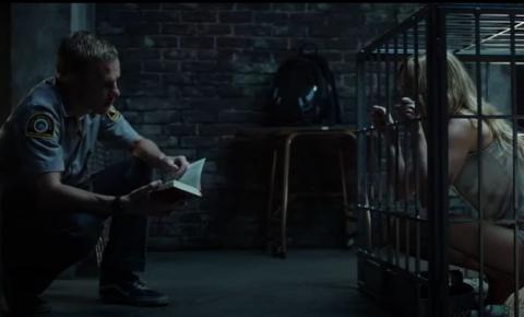 PET | ANIMAL DE COMPANIA | 2016