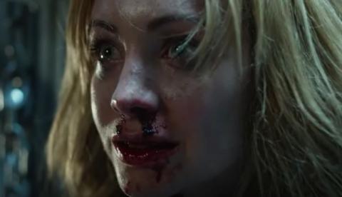 PET | ANIMAL DE COMPANIA | 2016