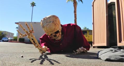 FRIGHTVISION | FRIGHTVISION | 2020