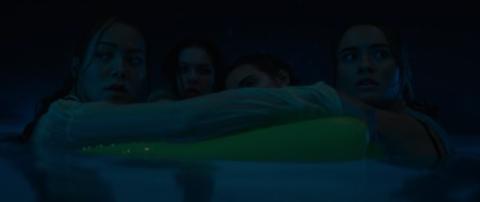 Primate | Primate | 2025