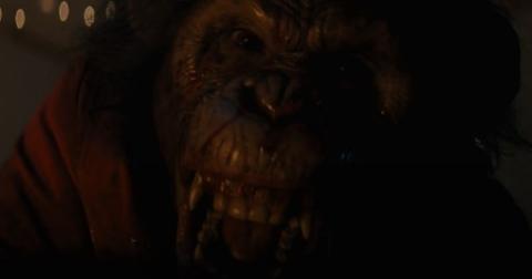 Primate | Primate | 2025