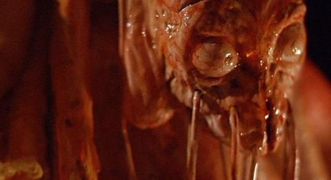 BABY BLOOD | Baby blood | 1990