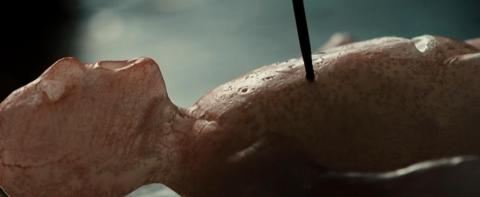 CURSE - THE | NEEDLE | 2010