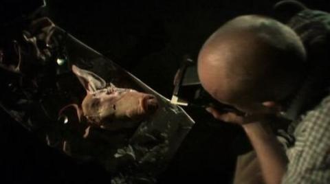 Debris documentar | Debris documentar | 2012