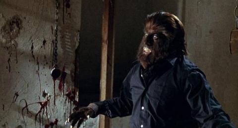 Furie des vampires - la | Noche de walpurgis - la | 1971