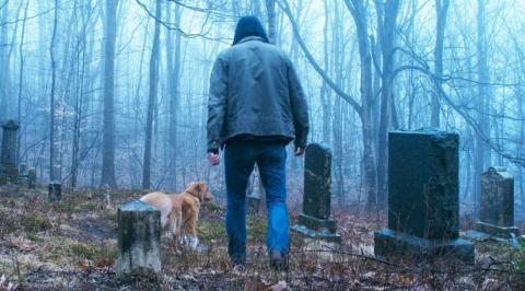 Good boy (2025) | Good boy (2025) | 2025