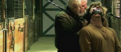 LIVE ANIMALS | LIVE ANIMALS | 2008