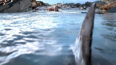 Nature prédatrice | Thrash | 2026