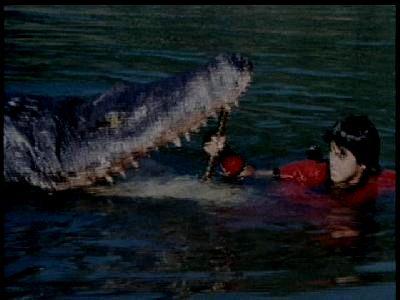 DRAGON BALL LE FILM | XIN QI LONG ZHU SHEN LONG DE FU SHOU | 1989