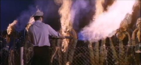 REVOLTE DES TRIFFIDES - LA | DAY OF THE TRIFFIDS | 1962