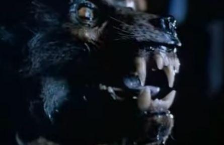 Werewolf | Werewolf | 1995