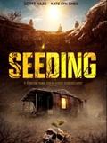 SEEDING - THE | SEEDING - THE | 2023