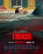 LES REQUINS SE RE-INVITENT PROCHAINEMENT SUR NETFLIX !