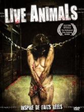 LIVE ANIMALS | LIVE ANIMALS | 2008