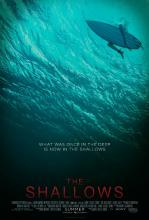 Trailer : the shallows