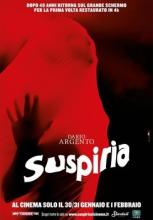 Trailer : suspiria 4k