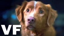 Embedded thumbnail for Good boy (2025) | Good boy (2025) | 2025